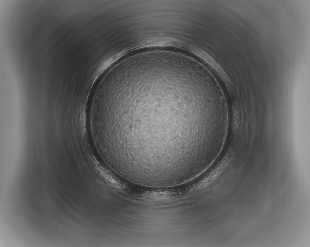 X0000116440834200912151238