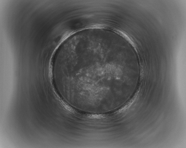 X0000116440835200912151238