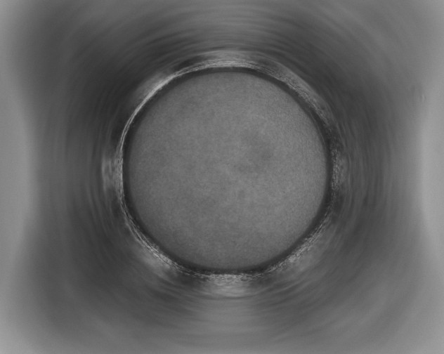 X0000116440836200912151238