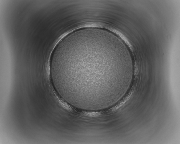 X0000116440837200912151238