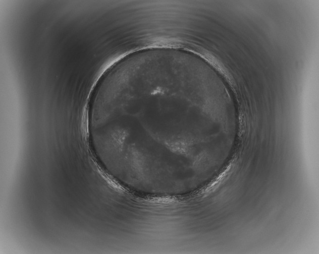 X0000116440838200912151238