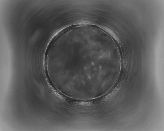 X0000116440839200912151238