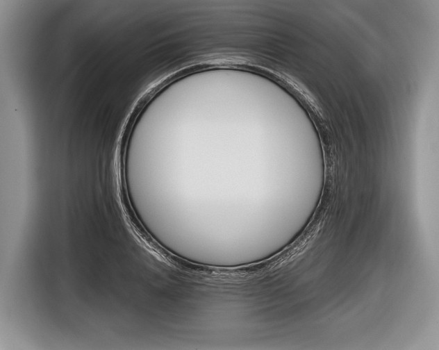 X0000116440840200912151238