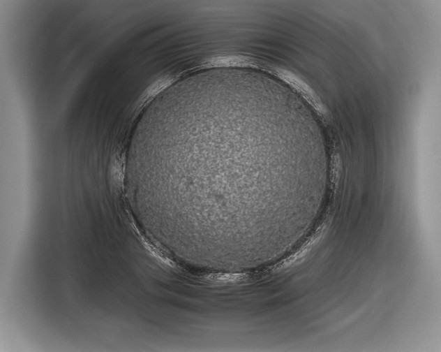 X0000116440841200912151238