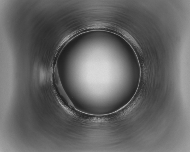 X0000116440842200912151238