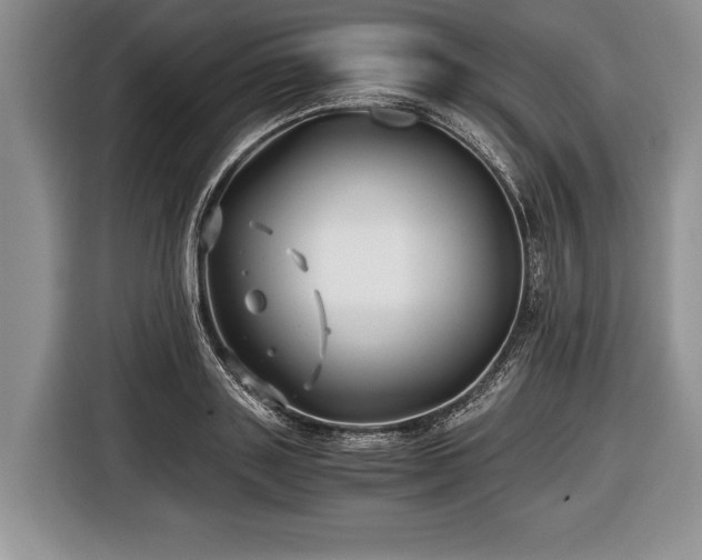 X0000116440843200912151238