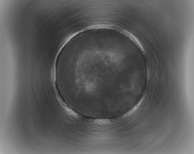 X0000116440844200912151238