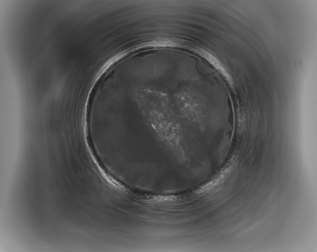 X0000116440845200912151238