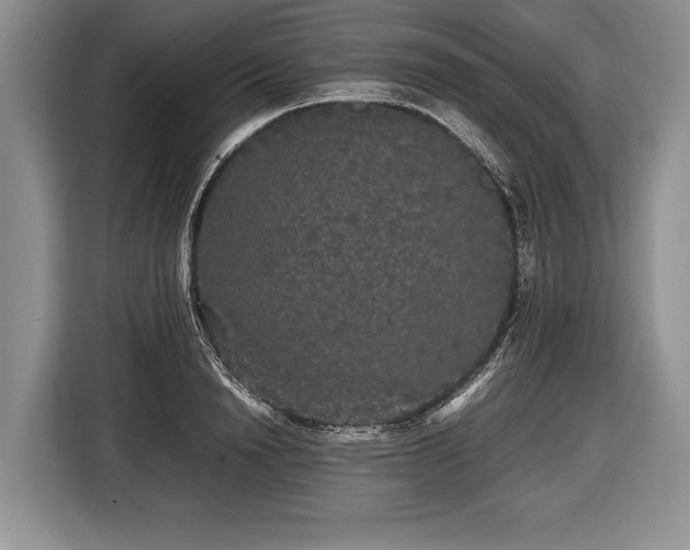 X0000116440846200912151238