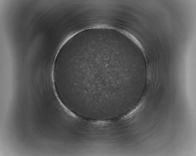 X0000116440847200912151238