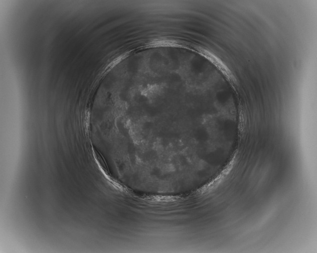 X0000116440849200912151238
