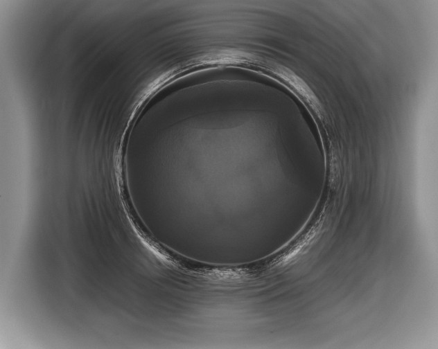 X0000116440850200912151238
