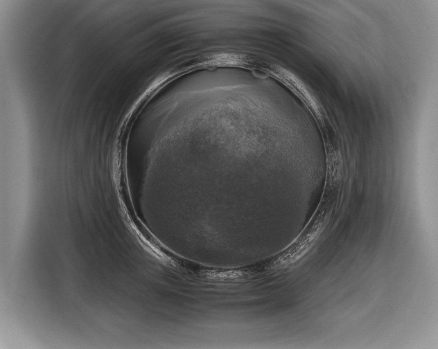 X0000116440851200912151238