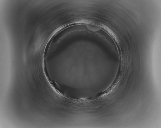 X0000116440853200912151238