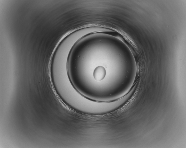 X0000116440854200912151239
