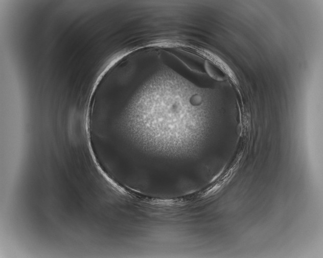 X0000116440855200912151239