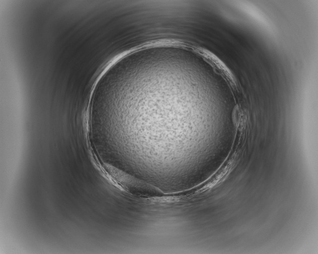 X0000116440860200912151239