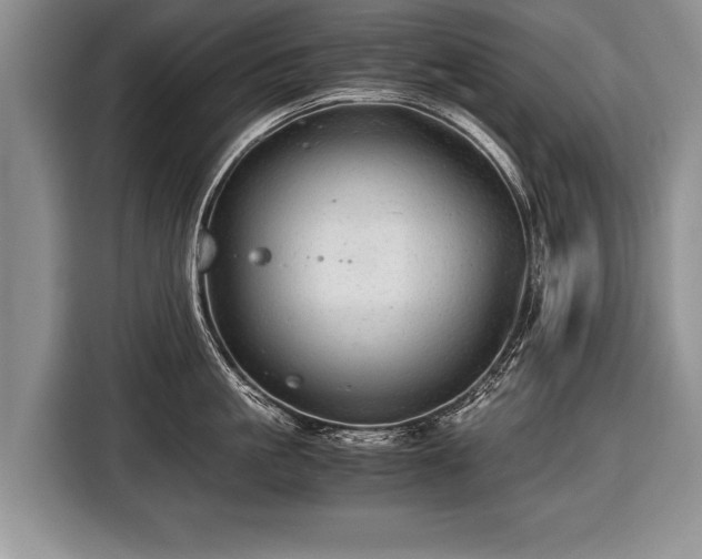 X0000116440861200912151239