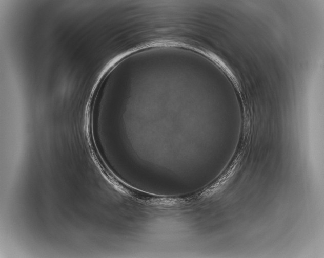 X0000116440862200912151239