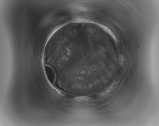 X0000116440863200912151239