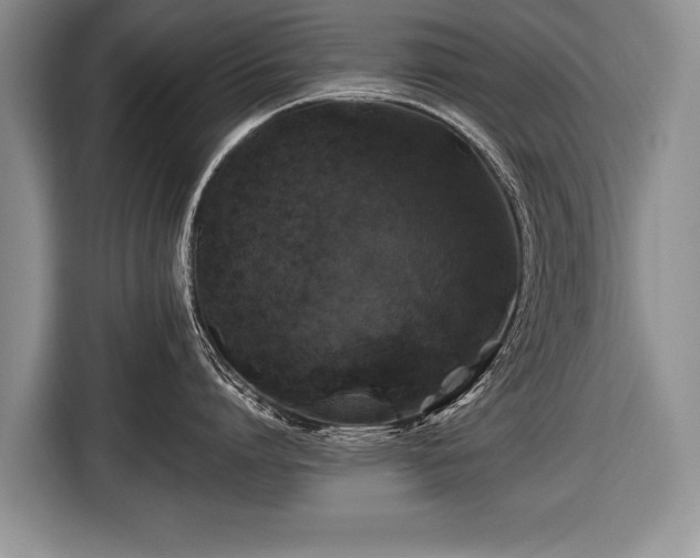 X0000116440864200912151239