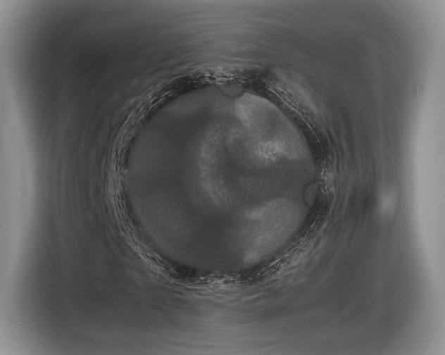 X0000116440865200912151238