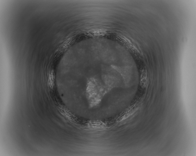 X0000116440866200912151238