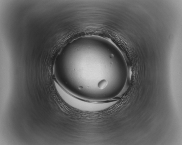 X0000116440868200912151238