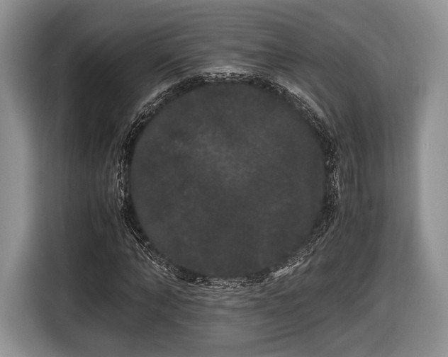 X0000116440870200912151238
