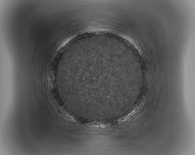 X0000116440871200912151238