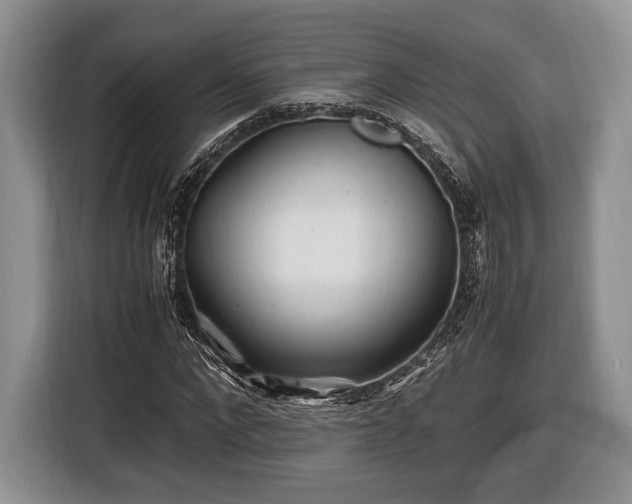 X0000116440872200912151238