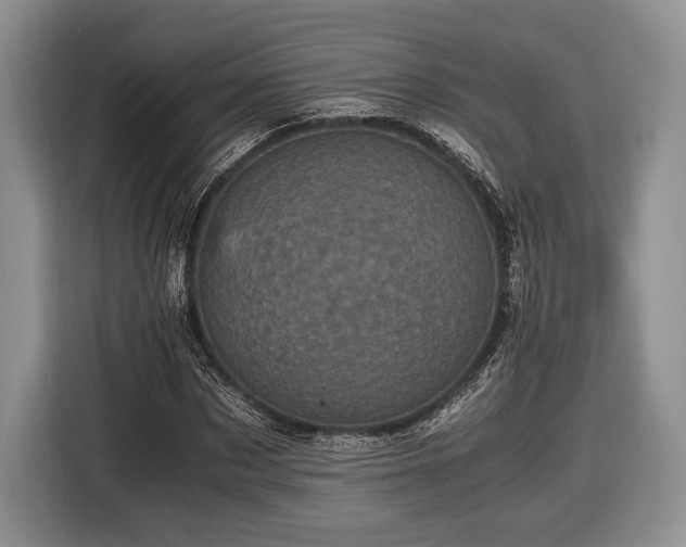X0000116440873200912151238
