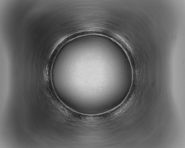 X0000116440875200912151238