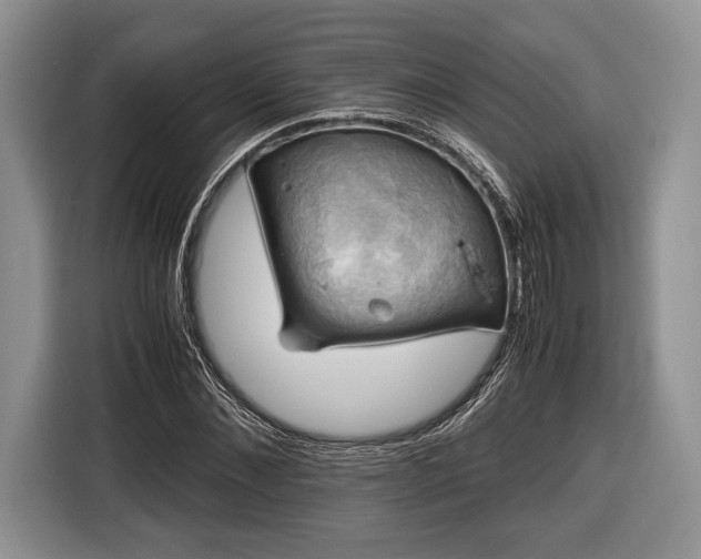 X0000116440876200912151238