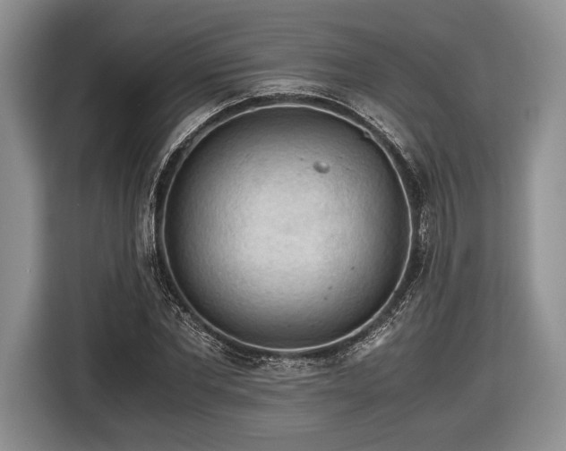 X0000116440877200912151238