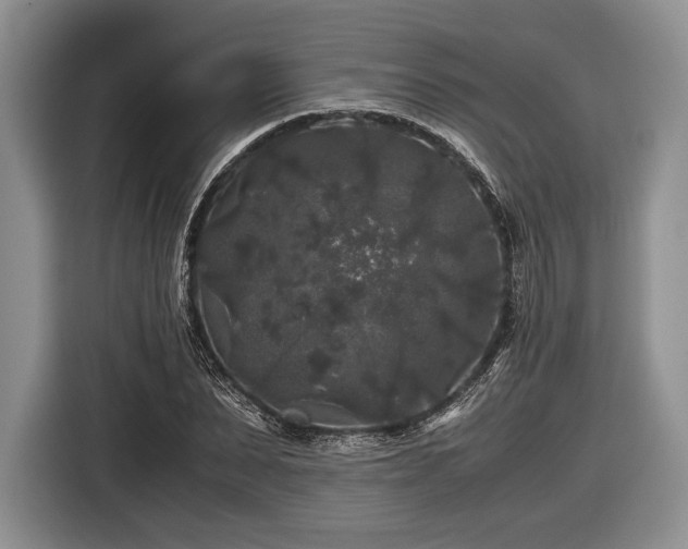 X0000116440879200912151238