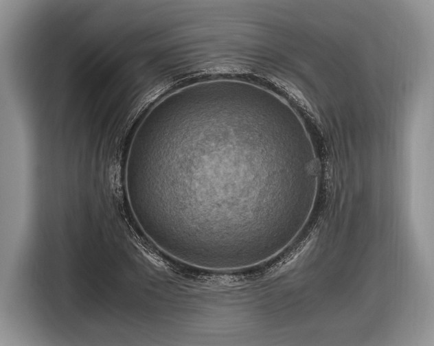 X0000116440881200912151238