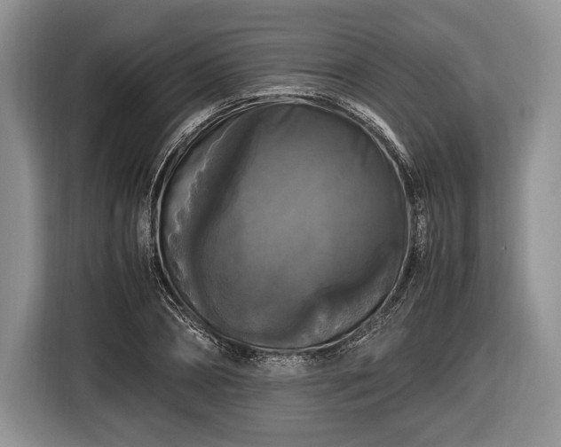 X0000116440882200912151238