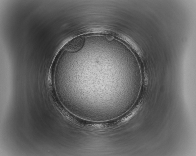 X0000116440883200912151238