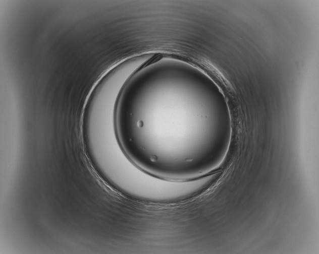 X0000116440884200912151238