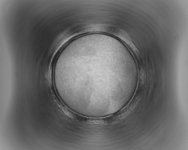 X0000116440886200912151238
