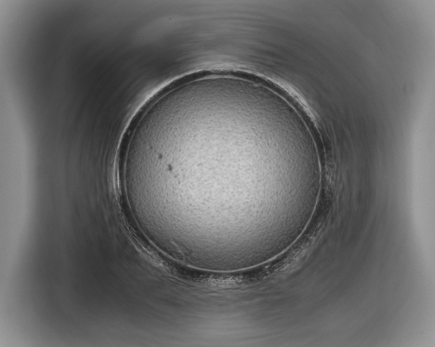 X0000116440887200912151238