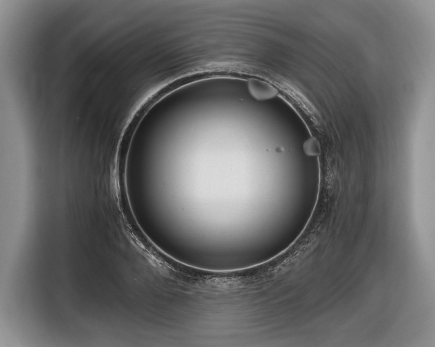 X0000116440888200912151238