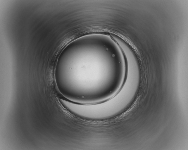 X0000116440889200912151238
