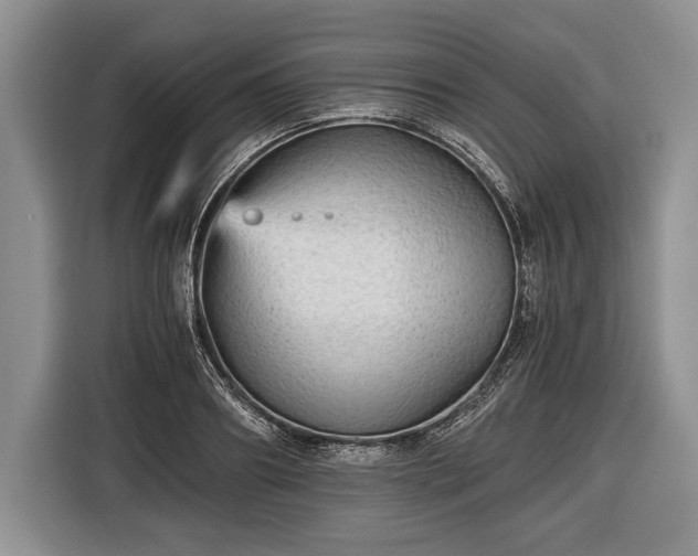 X0000116440890200912151238
