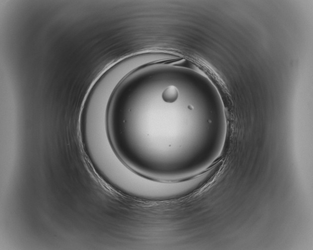 X0000116440892200912151238
