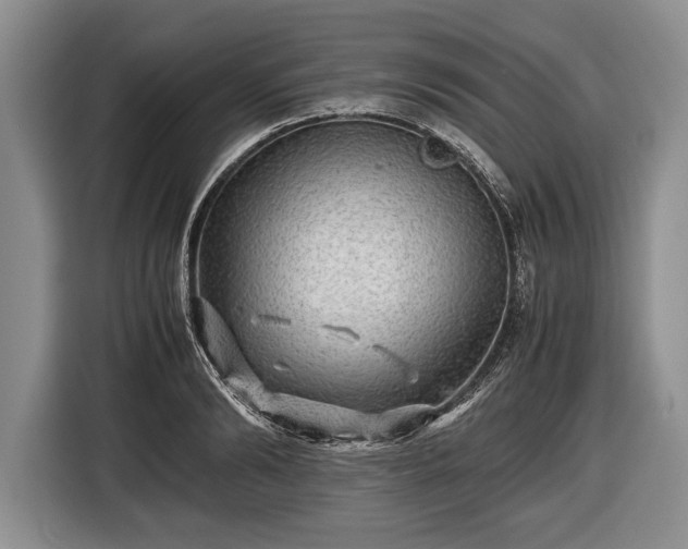 X0000116440894200912151238