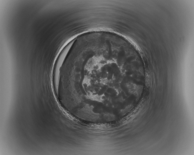 X0000116440895200912151238