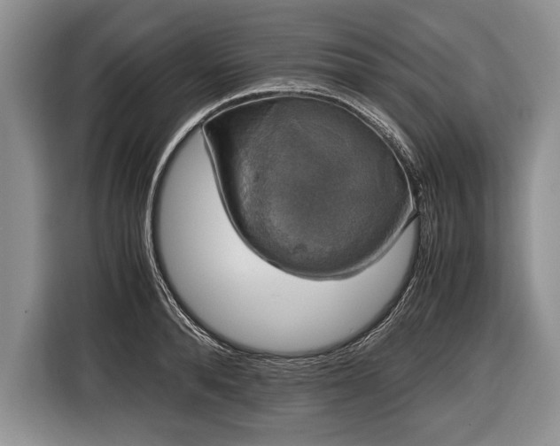 X0000116440896200912151238