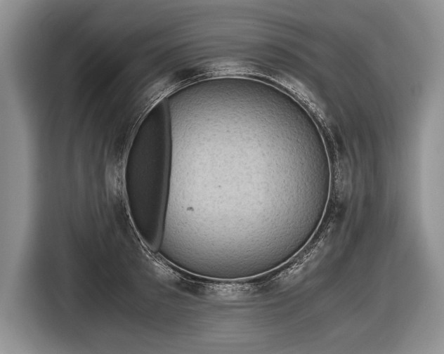X0000116440897200912151238